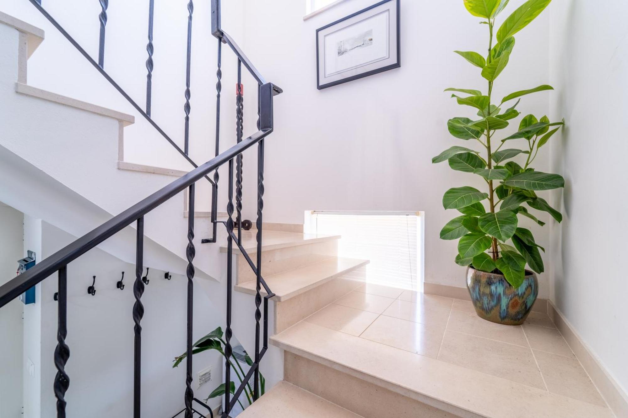 Vila Casa Da Bauhinia Aljezur Exteriér fotografie